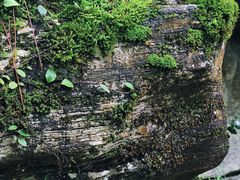 -天河潭旅游度假区