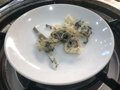 -凯盈阁·顺德私房菜·桑拿鸡