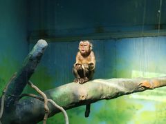 -杭州野生动物世界