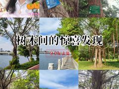 -南宁南湖公园