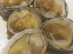 蛤蜊-小科自助海鲜烧肉(高区店)