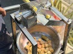 -三圣花乡旅游区