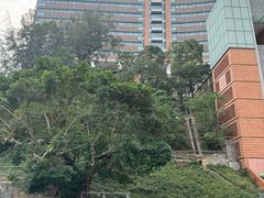 -香港大学