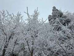 -庐山风景名胜区