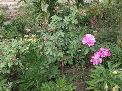 -长春公园(普阳街道)