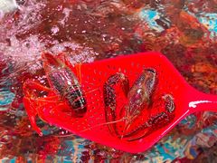 -巽寮印象美食部落餐厅·海鲜·地方特色菜(惠州体验店)