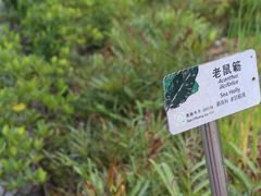 -万绿园