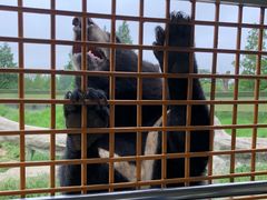 -野生动物园-停车场