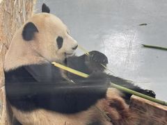 -无锡动物园·太湖欢乐园
