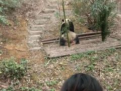 -石林冰雪海洋世界