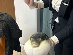 -鲐赏河豚(长寿店)