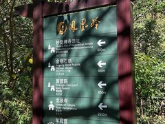 -北京凤凰岭