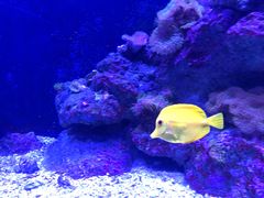 -成都浩海立方海洋公园