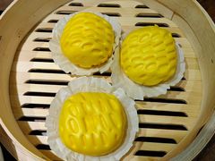 -寨子里的钵钵菜-湘西山里菜(火车站店)