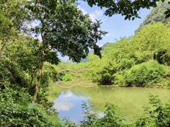 -江西龙虎山景区