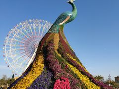 -七彩云南欢乐世界