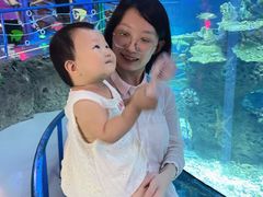 -泉城欧乐堡海洋极地世界