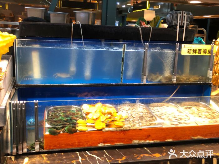 苏格里岛自助海鲜烤肉(青秀万达店)图片
