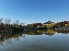 -溱湖国家湿地公园