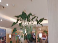 -松野谷·寿喜烧自助(华联顺义金街购物中心店)