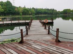 -新洲生态园