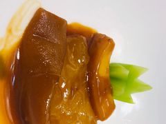 -诺莱仕游艇会