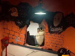 -沸奇公园·情景团建·年会露营烧烤轰趴生日(科技园店)