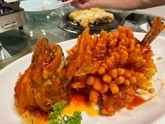 松鼠桂鱼-丽华园(青少年宫店)