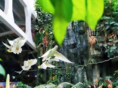 -正佳雨林生态植物园