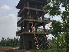 -杭州湾海上花田景区