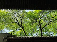 -嵩祝寺及智珠寺