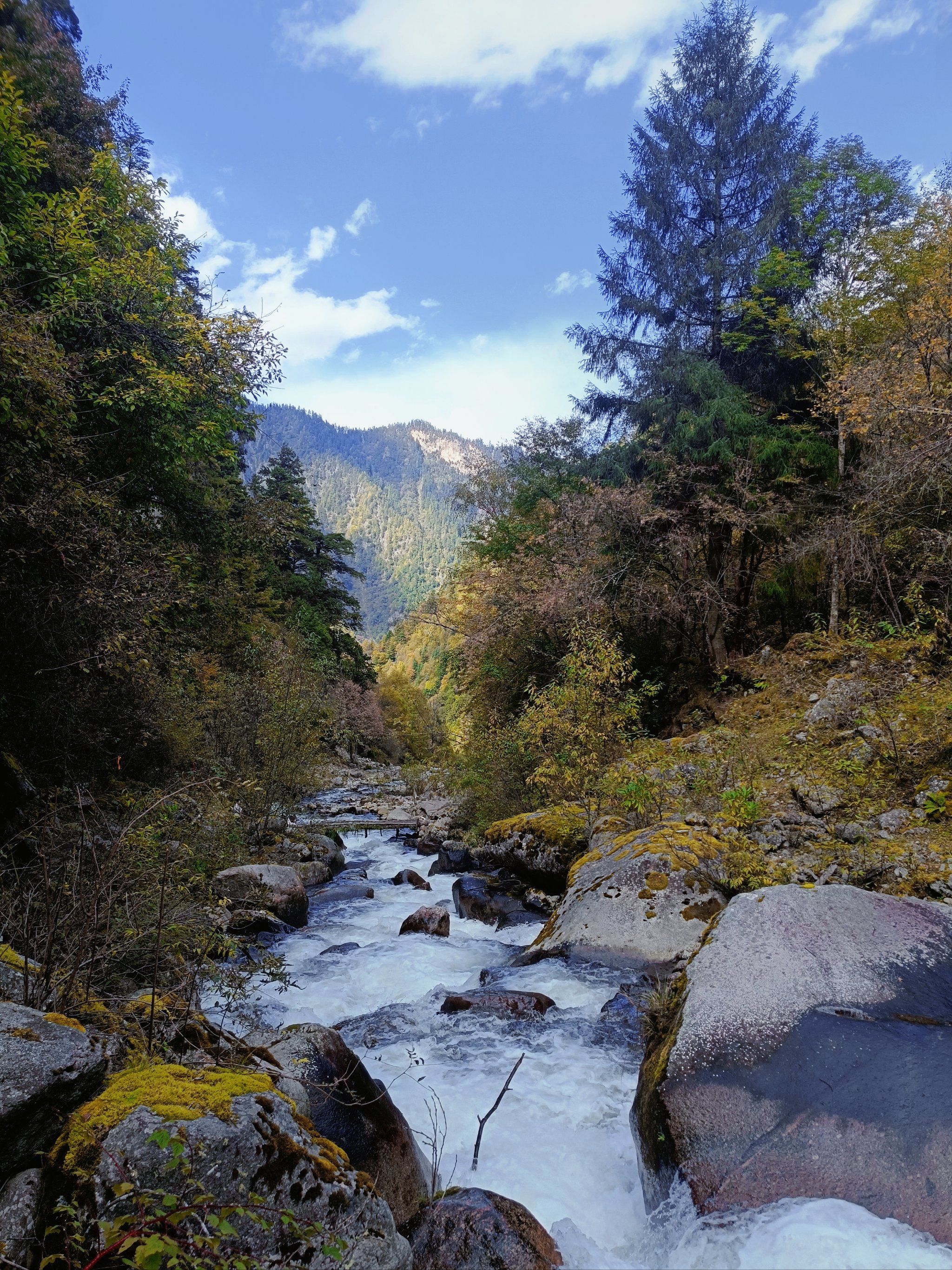 有红石滩
还有清澈的水流和新鲜的空气

73甲尔猛措景区门票