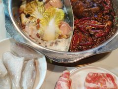 -红姐重庆火锅(曙光路店)