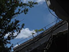 -阳明祠