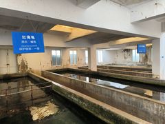 -硇洲岛旅游区