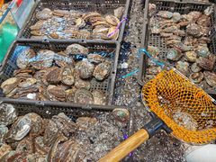 -海鲜e族(马王堆店)