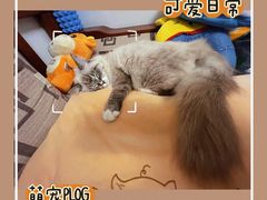 -南方医科大学深圳医院