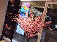 -麦当劳(塔园路店)