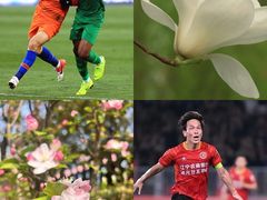 -上海体育场