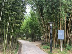 -福建鲤鱼洲酒店