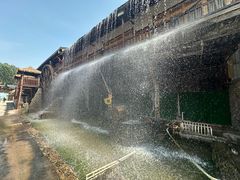 -呀路古热带植物园