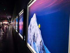 -罗红摄影艺术馆