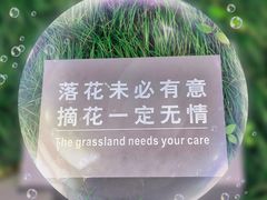 -重庆园博园