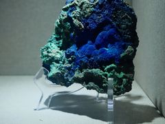 -陕西自然博物馆