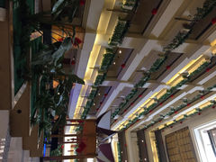 iphone_upload_pic-深圳维景酒店