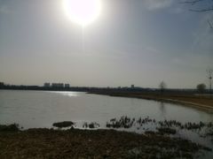 -绿堤公园