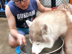 -TrueLove @ Neverland (Husky Cafe)