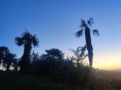 -米开朗琪罗广场