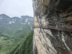 -鹿院坪生态旅游景区
