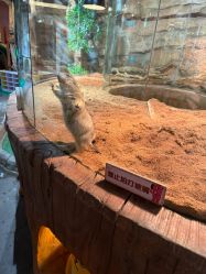 -Zoolung Zoolung动物主题公园(海信广场店)